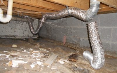 Inspecting The Crawl Space